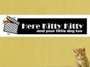 Get Personalized Leather Pet Collars