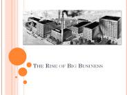 The%20Rise%20of%20Big%20Business