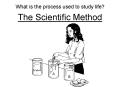 What is the process used to study life? PowerPoint PPT Presentation