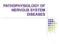 PATHOPHYSIOLOGY OF NERVOUS SYSTEM DISEASES PowerPoint PPT Presentation