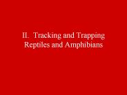 II. Tracking and Trapping Reptiles and Amphibians