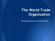 The World Trade Organization