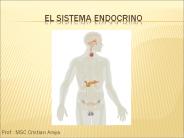 El Sistema Endocrino