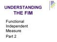 UNDERSTANDING THE FIM PowerPoint PPT Presentation