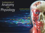 The Human Body
