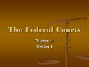 The%20Federal%20Courts