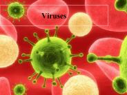 Viruses