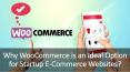 Why WooCommerce is an Ideal Option for Startup E-Commerce Website PowerPoint PPT Presentation