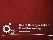 Use of Convoyar belts in Food Processing