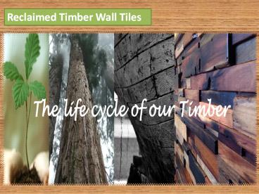 Reclaimed Timber Wall Tiles