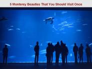 5 Monterey Beauties That You Should Visit Once