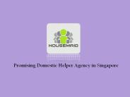 Domestic Helper Agency in Singapore