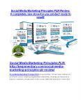 Social Media Marketing Principles PLR review in particular - Social Media Marketing Principles PLR bonus PowerPoint PPT Presentation