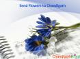 Send Flowers to Chandigarh | Chandigarh Flowers Delivery