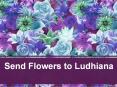 Send Flowers to Ludhiana | Flowers Delivery Ludhiana