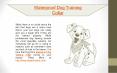 Waterproof dog training collar PowerPoint PPT Presentation
