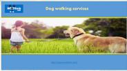 Dog walking services in Pune