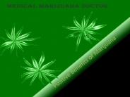 Get Information Regarding Medical Marijuana