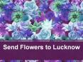 Send Flowers to Lucknow | Same Day Flowers Delivery Lucknow PowerPoint PPT Presentation