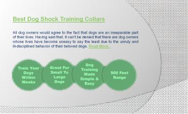 Best dog shock training collars