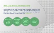 Best dog shock training collars
