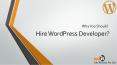 Hire Expert WordPress Developer For Theme Customization PowerPoint PPT Presentation