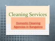 Domestic Cleaning Agencies in Bangalore