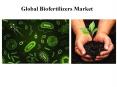 Global Biofertilizers Market PowerPoint PPT Presentation