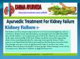 Ayurvedic treatment for kidney failure