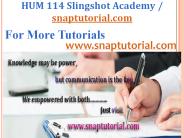 HUM 115 Aprentice tutors / snaptutorial.com