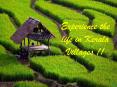 Experience the life in Kerala Villages PowerPoint PPT Presentation