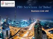 PRO Services in Dubai (1)
