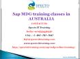 sap mdg online training classes in usa-uk-australia | specto PowerPoint PPT Presentation