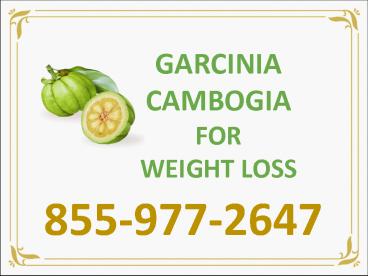 Lose weight with Garcinia cambogia | garcinia cambogia weight loss