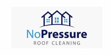 What to Expect From Roof Cleaning Experts
