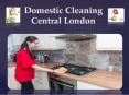 Domestic Cleaning Central London PowerPoint PPT Presentation
