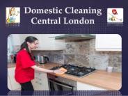 Domestic Cleaning Central London