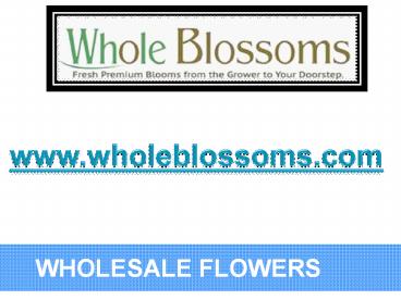 Wholesale Flowers - www.wholeblossoms.com (1)