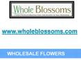 Wholesale Flowers - www.wholeblossoms.com (1) PowerPoint PPT Presentation