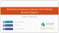 United States Claw Hammer Market Report 2016 PowerPoint PPT Presentation