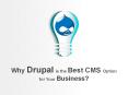 Why Drupal is the Best CMS Option for Your Business? PowerPoint PPT Presentation