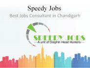 Best Job Consultants in chandigarh
