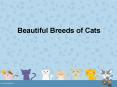 Beautiful Breeds of Cats PowerPoint PPT Presentation