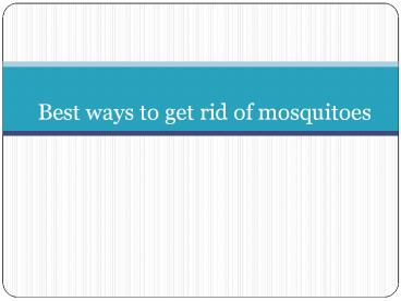 mosquito net dealers in Tirupur | Coimbatore | Erode