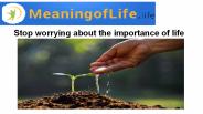 Stop worrying about the importance of life