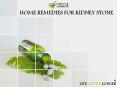 Home remedies for kidney stones PowerPoint PPT Presentation