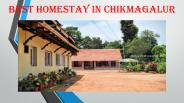 Mekanagadde Resort in Chikmagalur