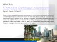 What Sets Company Incorporation Singapore Apart from Others (1) PowerPoint PPT Presentation