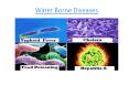 Water Borne Diseases PowerPoint PPT Presentation