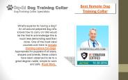 Best remote dog training collar